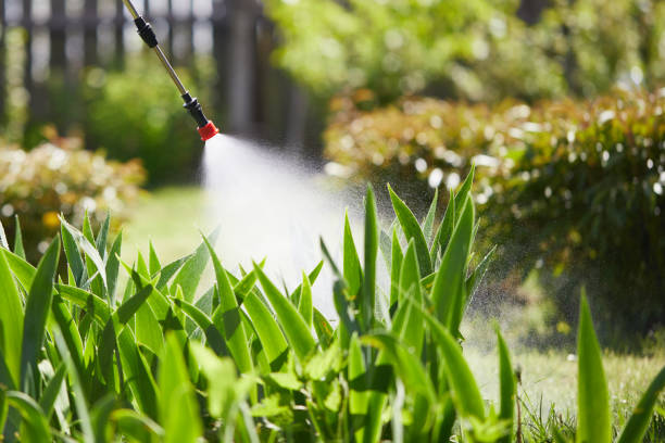 24/7 Emergency Mosquito Control experts in Thorntown, IN